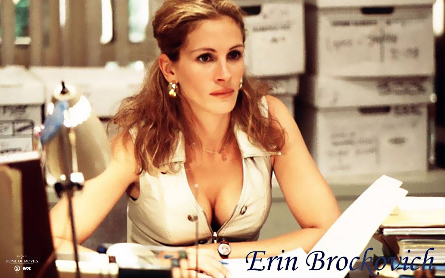 cv-erinbrockovich